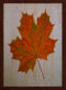 Autumn Leaf Üçlü Set Ahşap Tablo